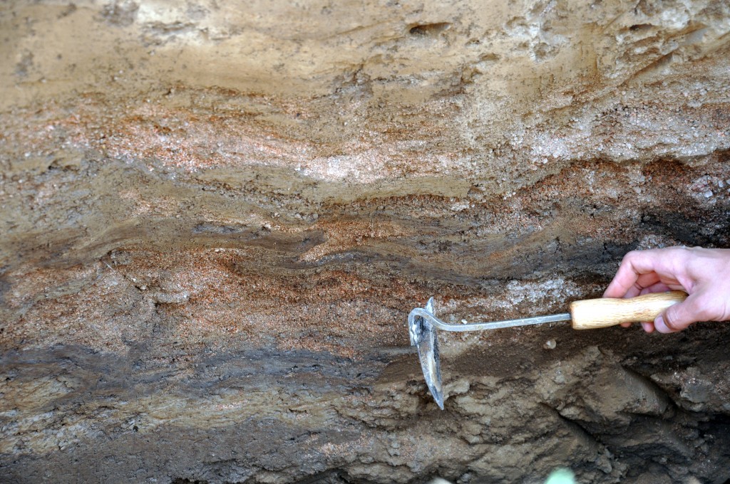 Deformed sediment layers in the trench, folded and faulted by a paleoearthquake.